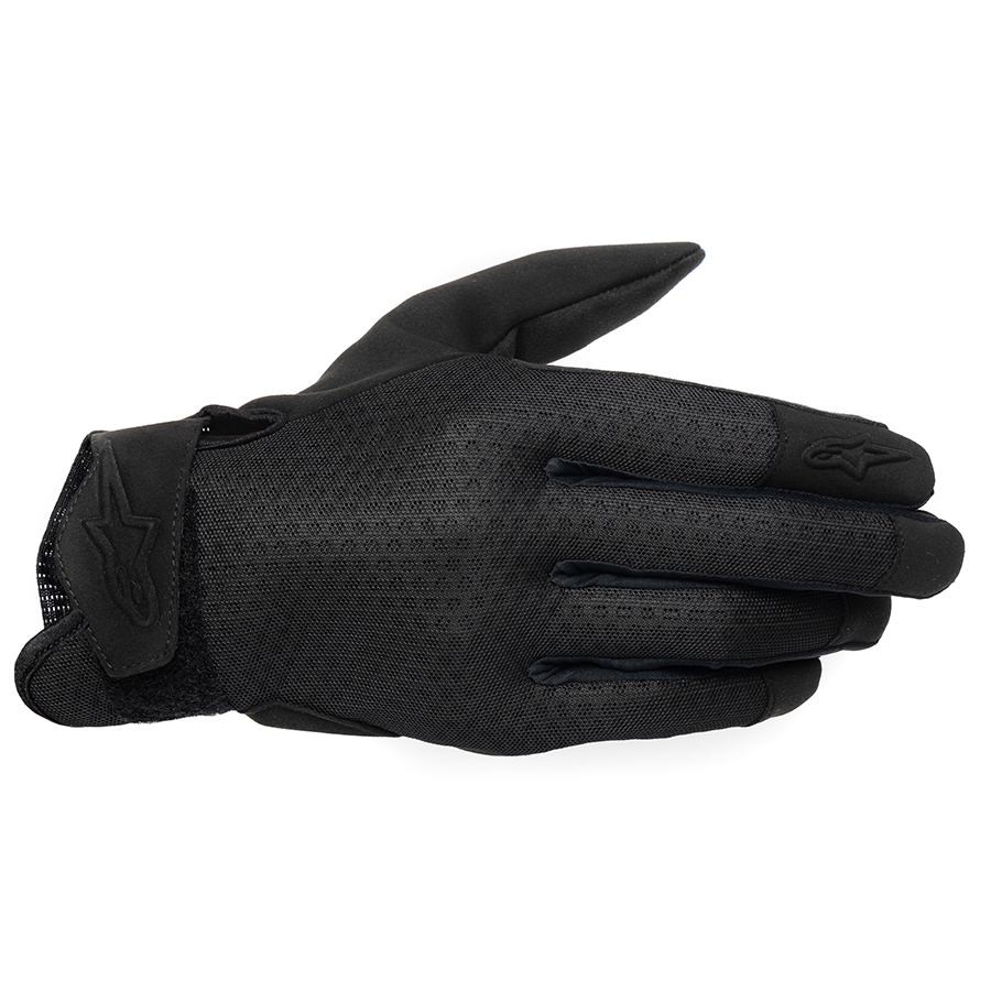 Daisy on the Ohoopee