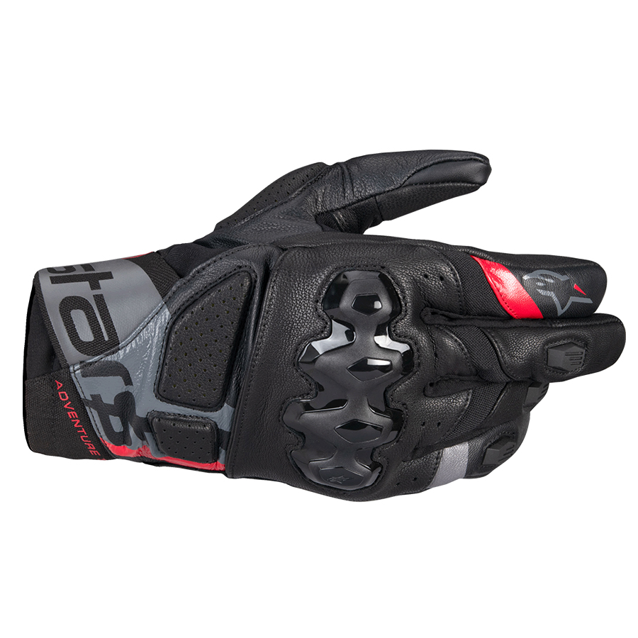 Daisy on the Ohoopee