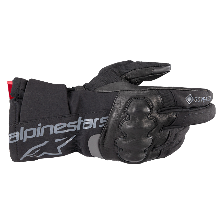 Daisy on the Ohoopee