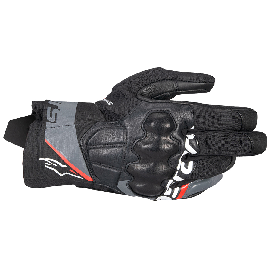 Daisy on the Ohoopee