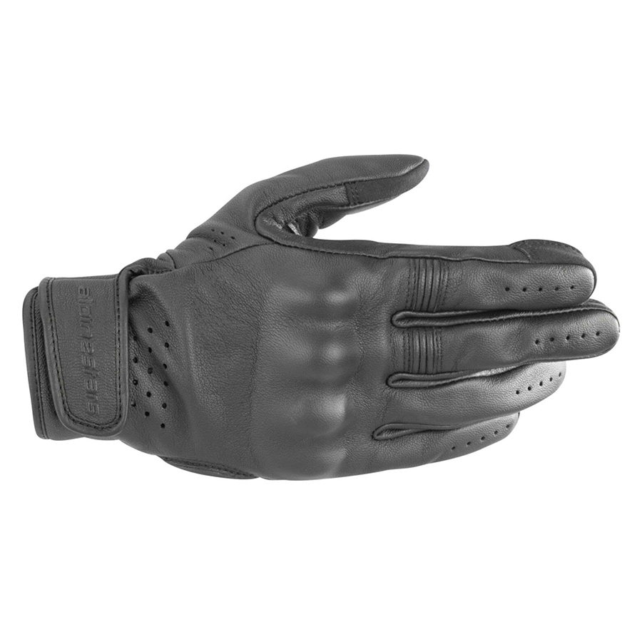 Daisy on the Ohoopee