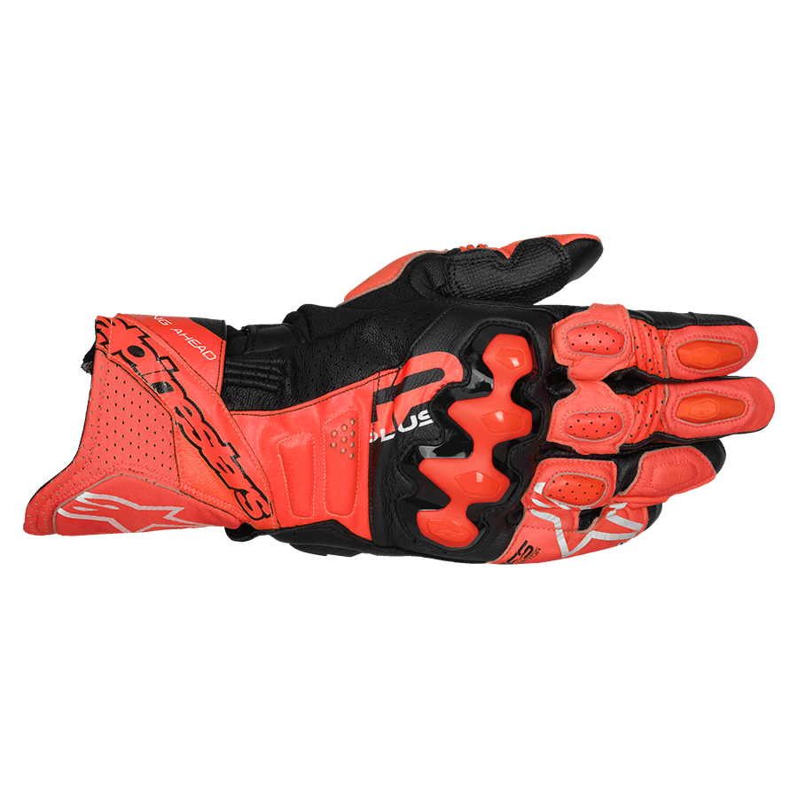 Daisy on the Ohoopee