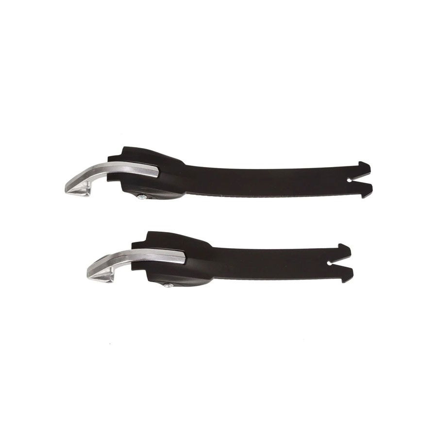 Daisy on the Ohoopee