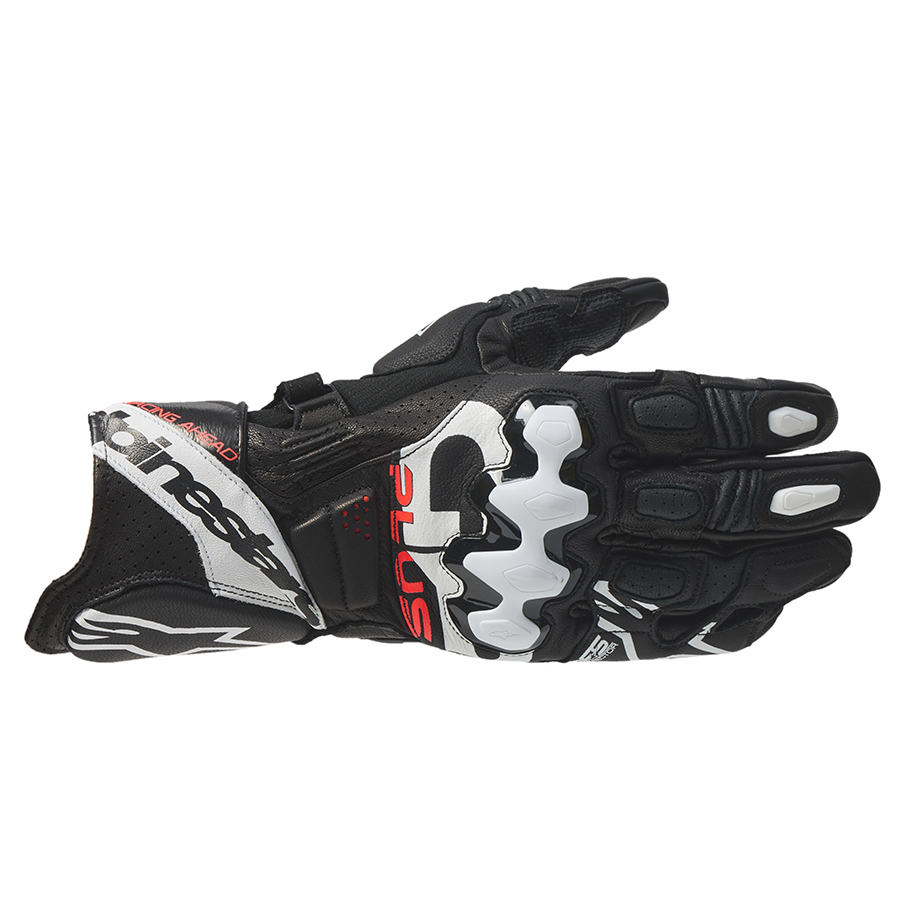 Daisy on the Ohoopee