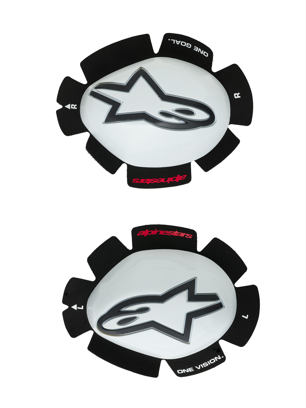 Daisy on the Ohoopee