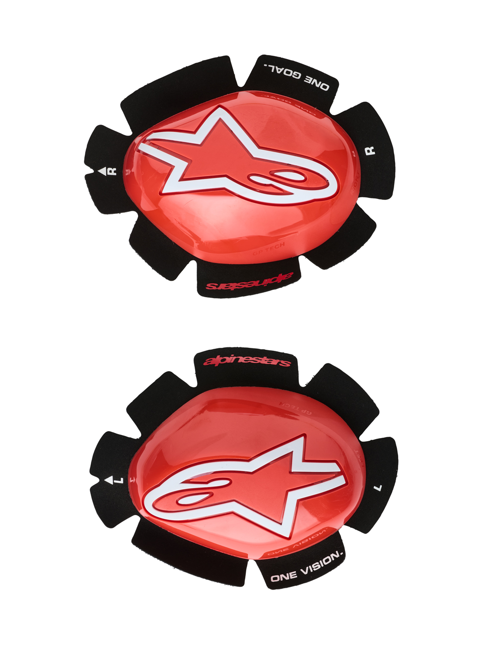 Daisy on the Ohoopee