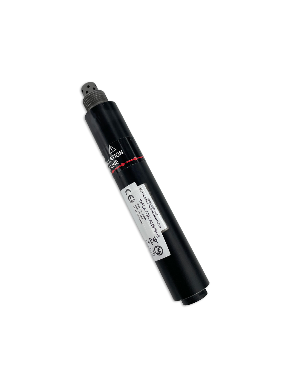 Daisy on the Ohoopee