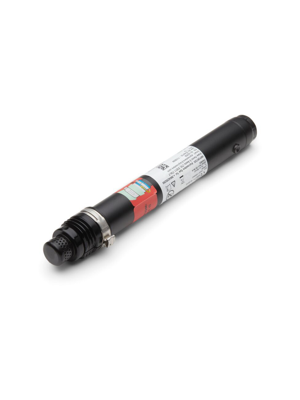 Daisy on the Ohoopee