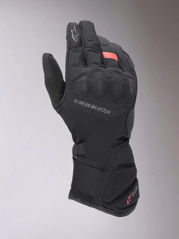 Daisy on the Ohoopee