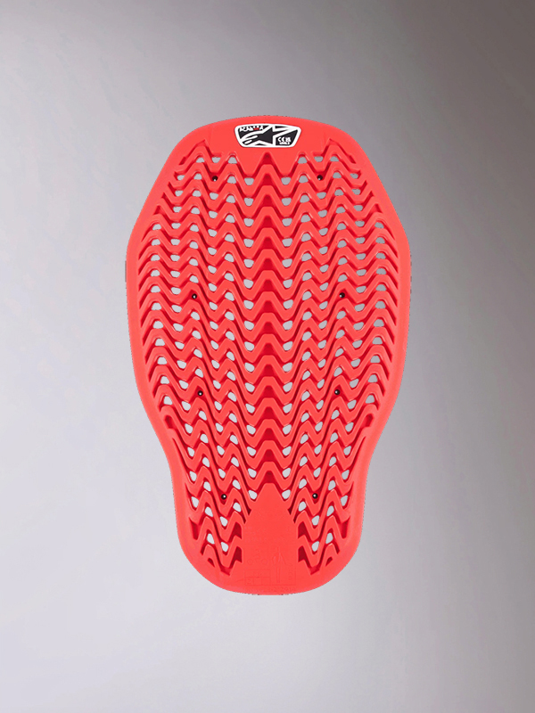 Daisy on the Ohoopee