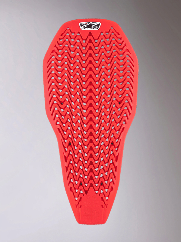 Daisy on the Ohoopee